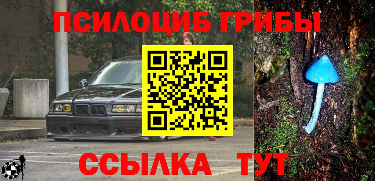 Новороссийск  Галлюциногенные грибы мицелий  Псилоцибиновые грибы GOLDEN TEACHER  как найти   Вход с VPN 